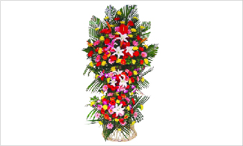 鲜花-06.jpg