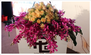 鲜花-03.jpg