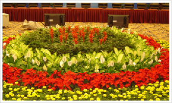 鲜花-07.jpg